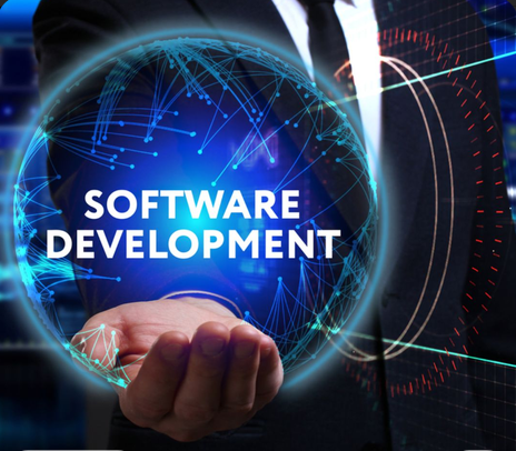 Custom Software Development Platform